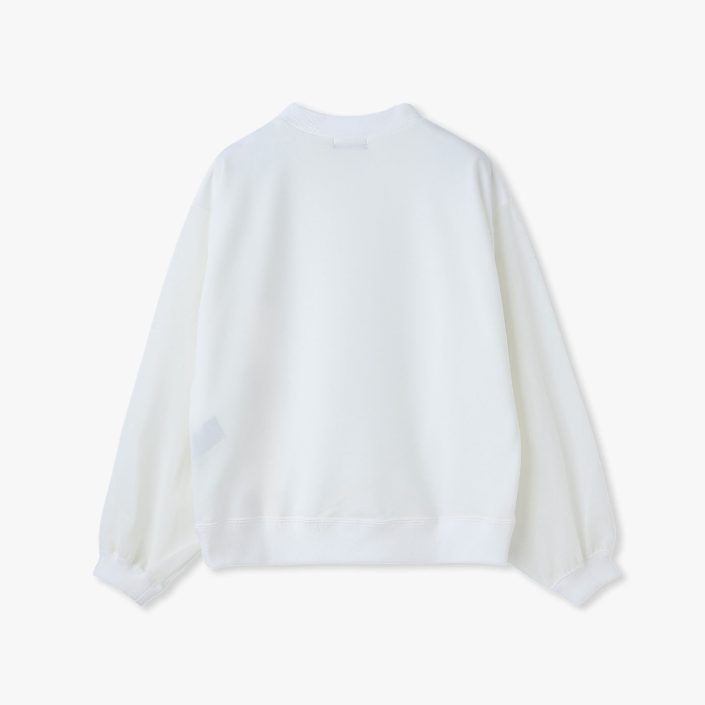 MESH SLEEVE MOCK NECK PULLOVER